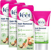 Veet Hair Removal Cream For Dry Skin- 100 Gm (Pack Of 3)