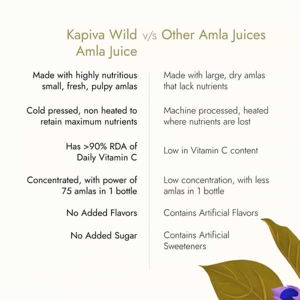Kapiva Wild Amla Juice (2L)|Cold-Pressed Amlas From Pratapgarh|Helps Detox - Super Saver Pack Of 2