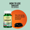 Morpheme Remedies Shilajit 500 Mg - 60 Veg Capsules