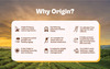 Origin Nutrition 100% Natural Vegan Plant Protein Powder 780G Vanilla With 25G Plant Based Protein