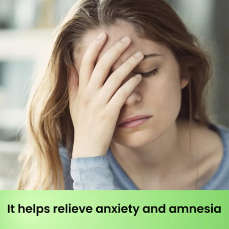 Cipzer Majoon-E-Najah 125gm | Herbal Tonic For Nervous System Health & Mental Wellness Support