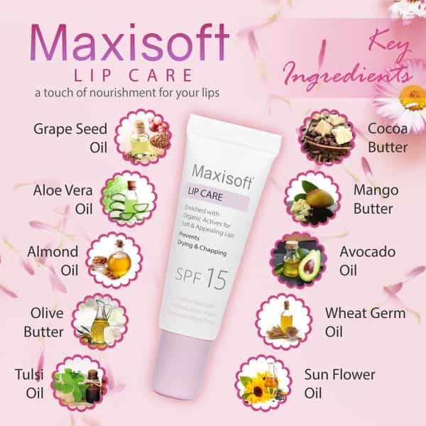 Maxisoft Lip Care Spf 15 | Drying & Chapping | 10 Gm | Pack Of 4
