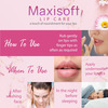 Maxisoft Lip Care Spf 15 | Drying & Chapping | 10 Gm | Pack Of 4