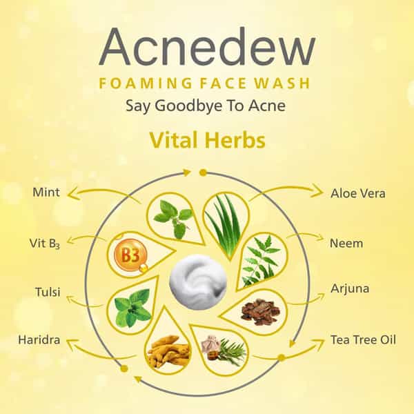Acnedew Antiacne & Antipimple Foaming Face Wash 100 Ml | Salicylic Acid (Pack Of 2)