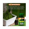 Spirulina Tablet 60