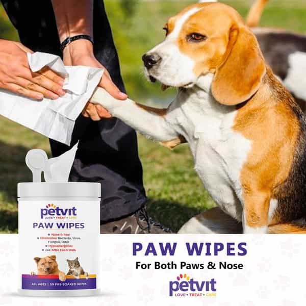 Petvit Nose And Paw Wipes For Eliminates Bacteria Virus Fungus All Age Group Pack Of 2 50 Wipes