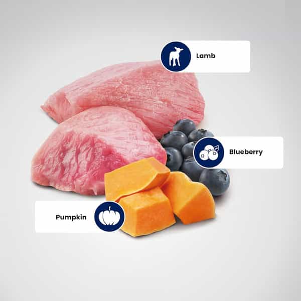 Farmina N&D Pumpkin Adult Medium/Maxi Dog Food | Lamb | Blueberry & Pumpkin | 2.5Kg