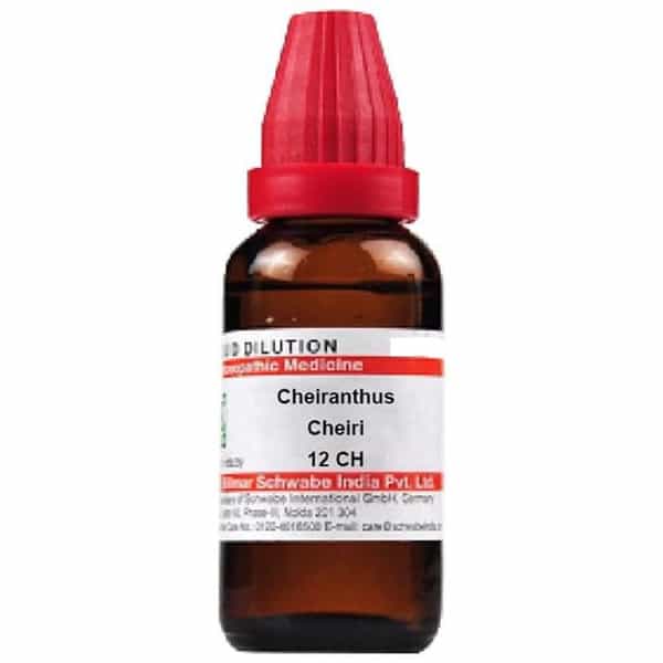 Dr. Willmar Schwabe India Cheiranthus Cheiri Dilution 12 Ch 30 Ml
