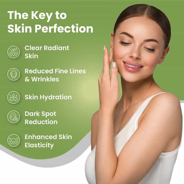 Vlado's Himalayan Organics Hyaluronic Acid 100Mg Supplement | Support Healthy Connective | Veg - 90N