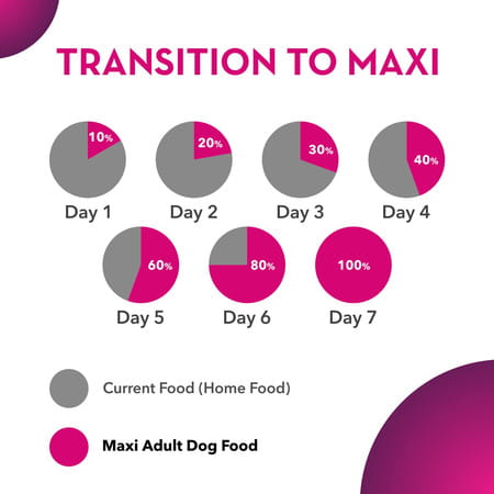 Maxi Adult Dry Dog Food | Chicken And Liver | 20 Kg Pack