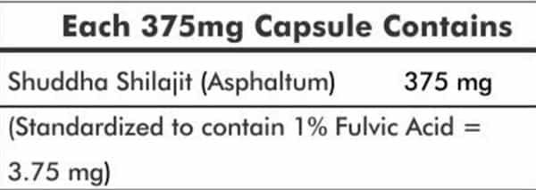 Ayurvedic Life Shilajit 120 Capsules - Pack Of 4
