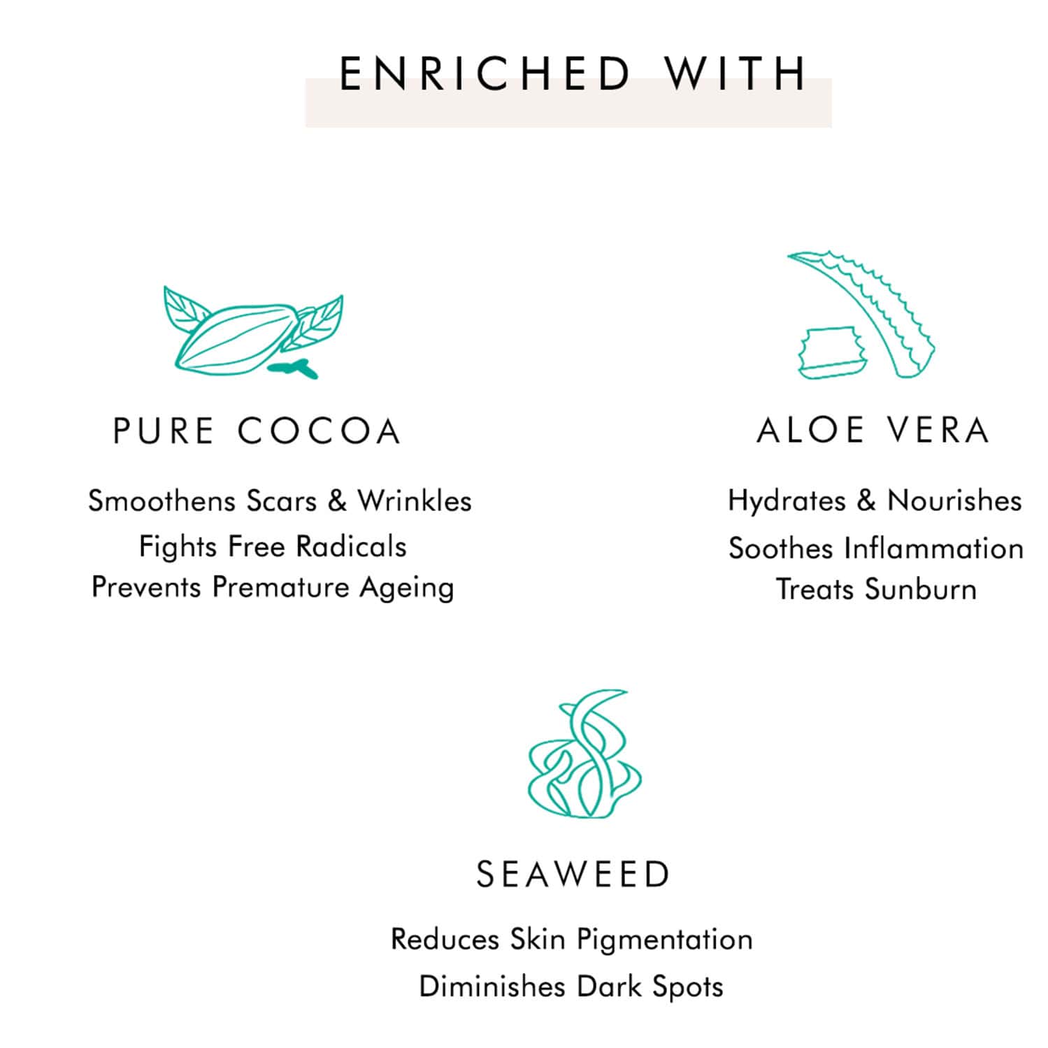 Buy MCAFFEINE HYDRATING CHOCO FACE MASK CLAY FACE PACK WITH COCOA