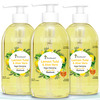 Four Seasons Lemon Tulsi & Aloevera 250Ml | Deep Cleansing Ayurvedic Handwash (Pack Of 3)
