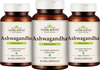 Vedikroots Ashwagandha 60 Capsules For Strength Performance And Stress Relief (Pack Of 3)