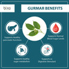 Bixa Botanical Gurmar Leaves Powder(Gymnema Sylvestre)-For Normal Blood Sugar Levels (200g)