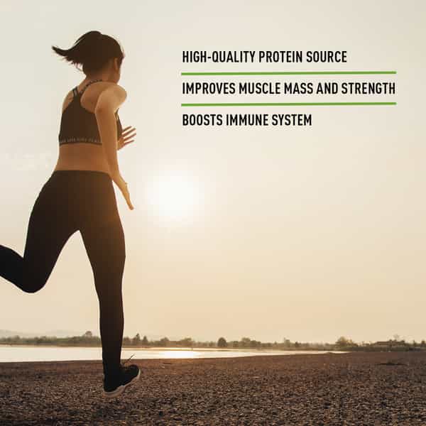 Bodyfirst Whey Protein Isolate | 32 Sachets | Unflavoured