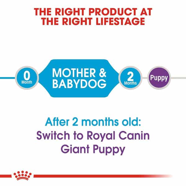 Royal Canin Giant Starter | Mother & Babdog Food | 15 Kg | Dry Food