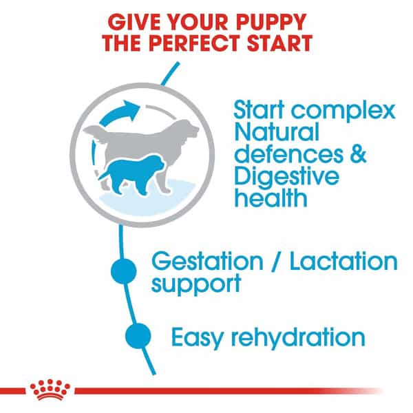 Royal Canin Giant Starter | Mother & Babdog Food | 15 Kg | Dry Food