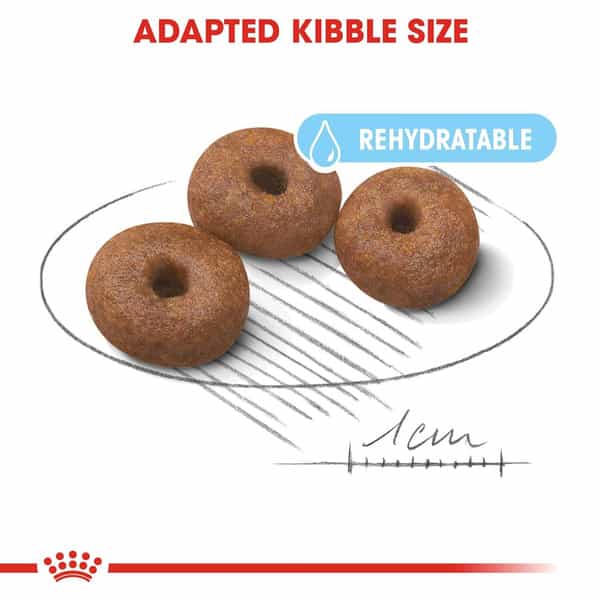 Royal Canin Giant Starter | Mother & Babdog Food | 15 Kg | Dry Food