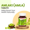 Baidyanath Amlaki (Amla) 60 Tablets