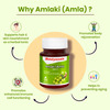 Baidyanath Amlaki (Amla) 60 Tablets