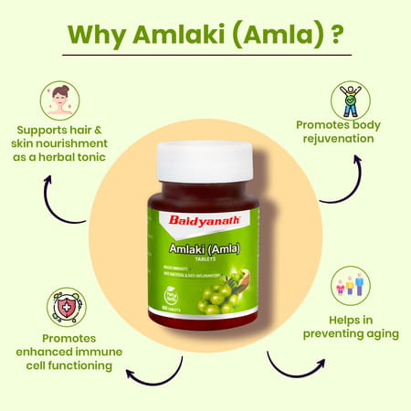 Baidyanath Amlaki (Amla) 60 Tablets