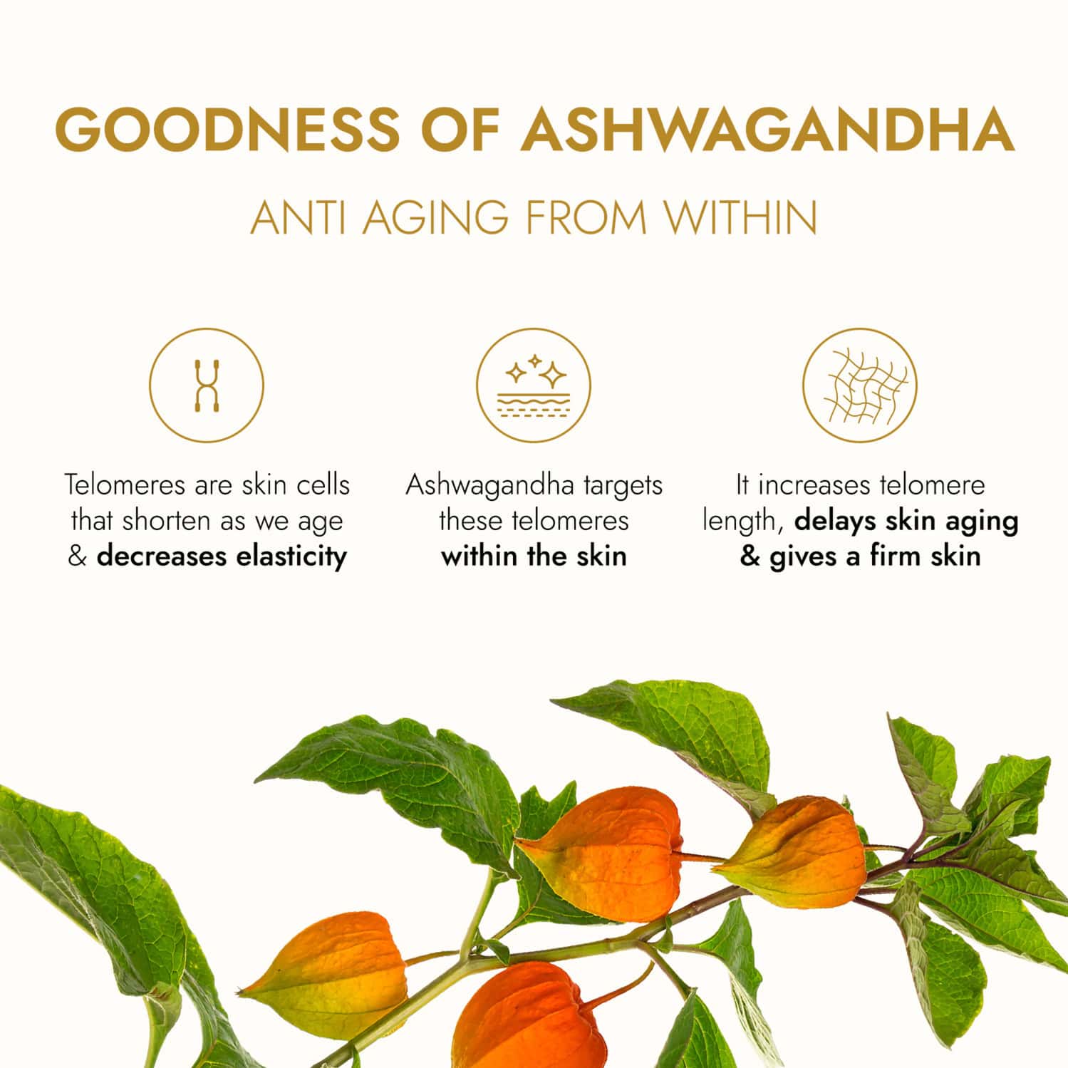 Buy KAPIVA ASHWAGANDHA ANTIAGING FACE OIL (30 ML) PLANT BASED