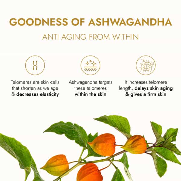 Kapiva Ashwagandha Anti-Aging Face Oil (30 Ml) | Plant Based Retinol