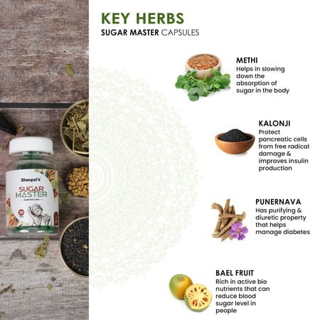 Sheopal'S Sugar Master | Diabetes Medicine |Blood Sugar Management With Goodness Of Methi
