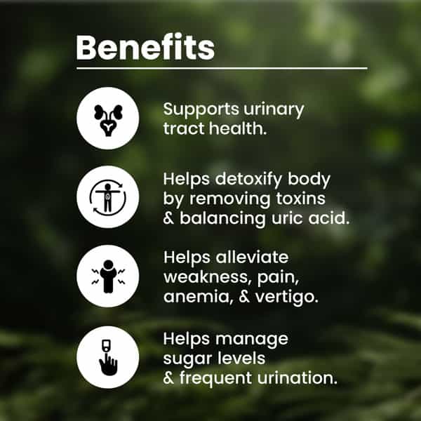 Baidyanath Chandraprabha Bati 160 Tablets | Ayurvedic Urinary Wellness Support