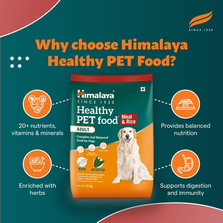 Himalaya Wellness Company Healthy Pet Food Powder| Meat & Rice Flavor | Adult Dog Food | 10 Kg Pack