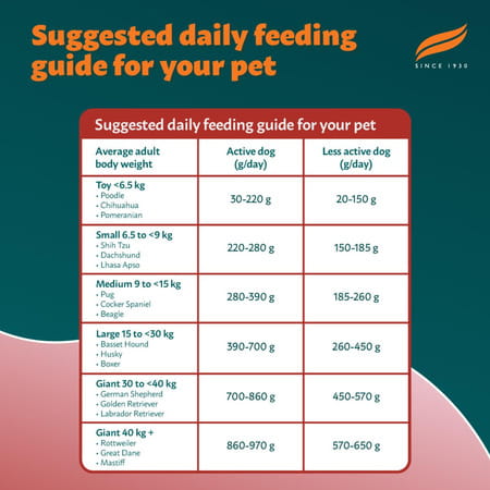 Himalaya Wellness Company Healthy Pet Food Powder| Meat & Rice Flavor | Adult Dog Food | 10 Kg Pack