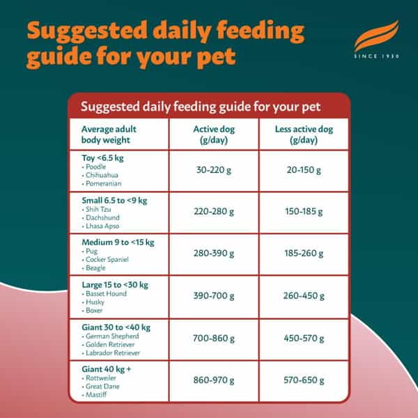 Himalaya Wellness Company Healthy Pet Food Powder| Meat & Rice Flavor | Adult Dog Food | 10 Kg Pack