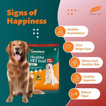 Himalaya Wellness Company Healthy Pet Food Powder| Meat & Rice Flavor | Adult Dog Food | 10 Kg Pack