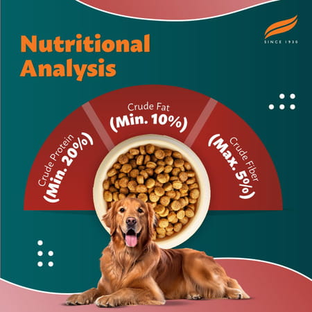 Himalaya Wellness Company Healthy Pet Food Powder| Meat & Rice Flavor | Adult Dog Food | 10 Kg Pack