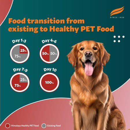 Himalaya Wellness Company Healthy Pet Food Powder| Meat & Rice Flavor | Adult Dog Food | 10 Kg Pack