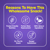 Nourishvitals Breakfast Protein Bar Pie Nuts & Seeds No Added Sugar Or Artificial Flavors 275G