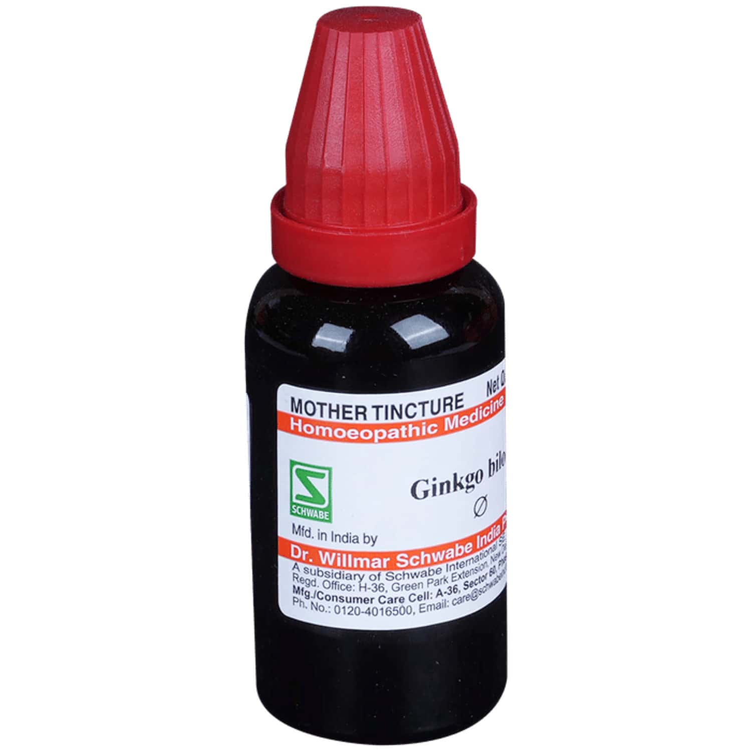 Dr. Willmar Schwabe India Ginkgo Biloba Mother Tincture Q 30 Ml
