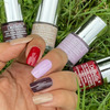 Debelle Gel Nail Lacquers Combo Set Of 4 Wild Cherry Skittles - 32Ml (8Ml Each)Rakhi Gift