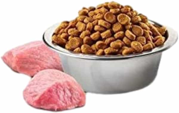 Farmina N&D Pet Foods Dry Farmina Grain Free Lamb And Blueberry Adult Cat Food | 1.5 Kg