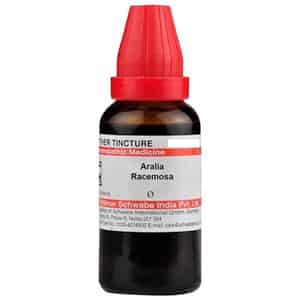 Dr. Willmar Schwabe India Aralia Racemosa Mother Tincture Q 30 Ml