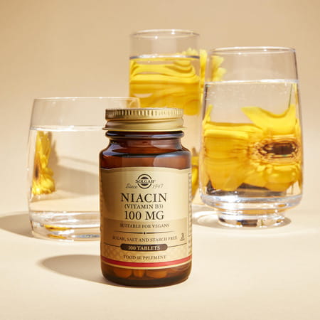 Solgar Niacin Vitamin B3 Tablets | 100 Mg | 100 Count