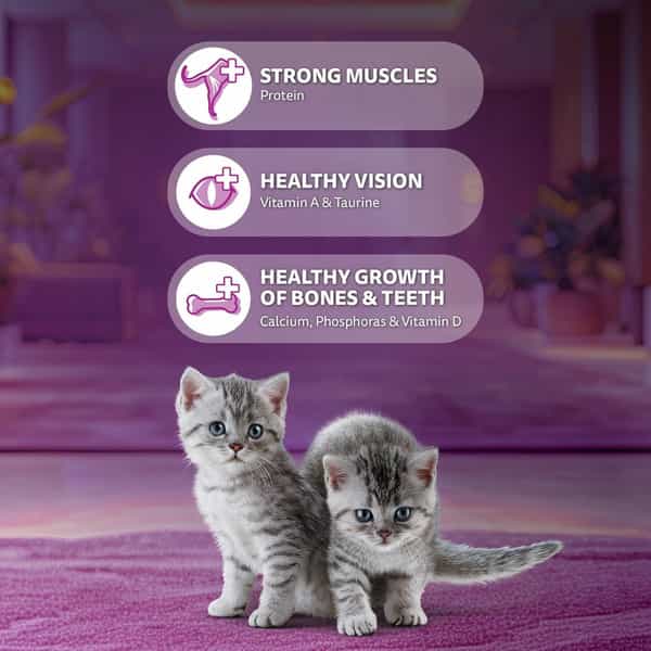 Whiskas Kitten Mackerel 1.1Kg