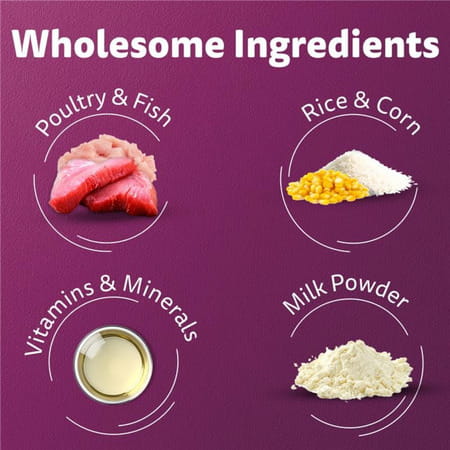 Whiskas Kitten Mackerel 1.1kg