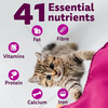 Whiskas Kitten Mackerel 1.1Kg