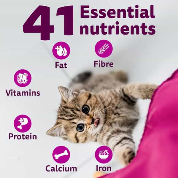 Whiskas Kitten Mackerel 1.1Kg