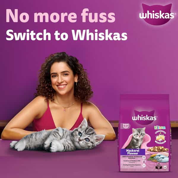 Whiskas Kitten Mackerel 1.1Kg