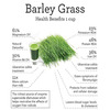 Herbal Hills Organic Barley Grass Powder Green Food Supplement (500 Gms Single Pack)