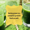 Herbal Hills Organic Barley Grass Powder Green Food Supplement (500 Gms Single Pack)