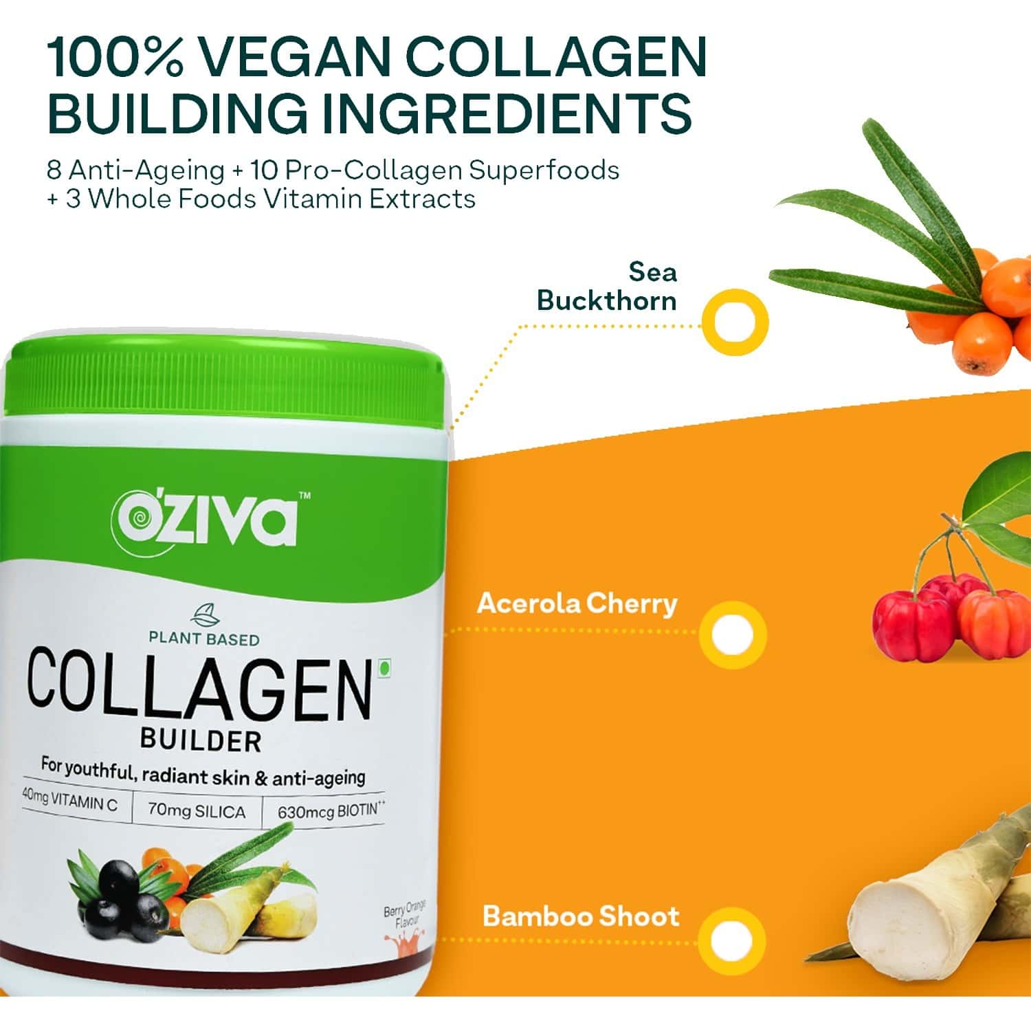 Buy Oziva Plant Based Collagen Builder ( With Vitamin C, Biotin, Silica